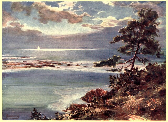 napoleon image2